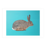 Rabbit (Print Only) thumbnail