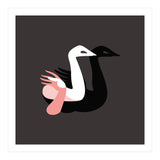 Black swan (Print Only) thumbnail