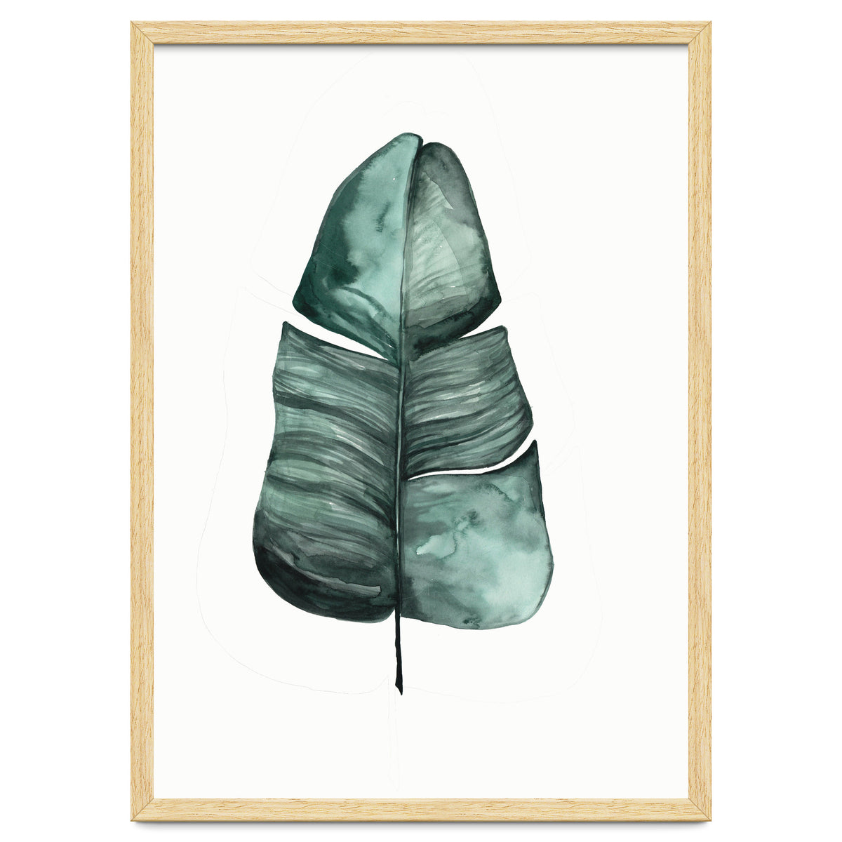 Botanical Illustration Banana Leaf