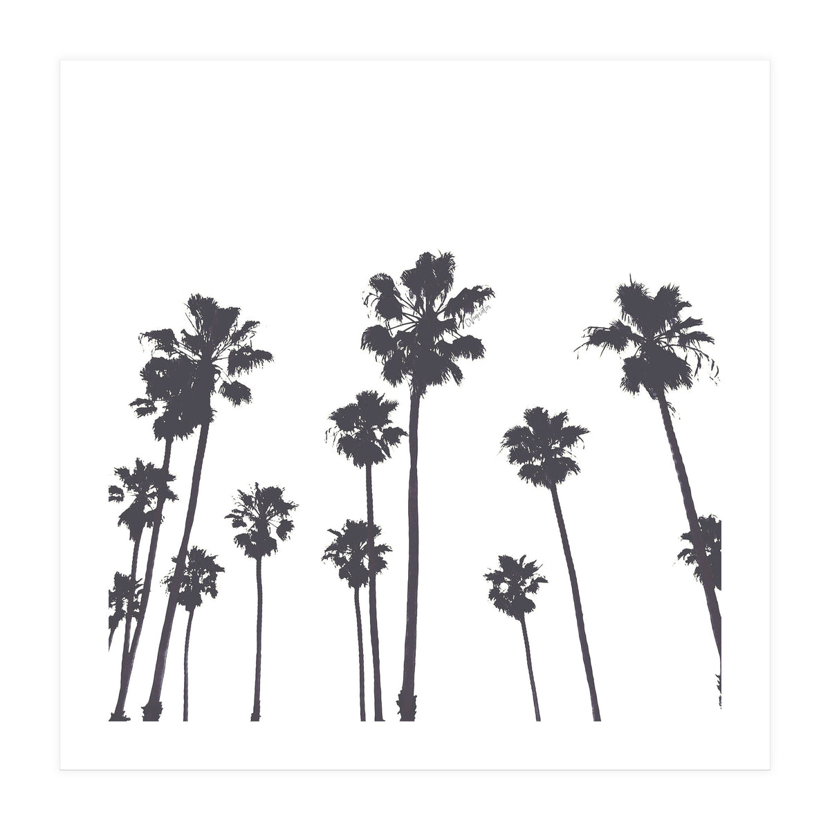 Palms & Sunset-Minimal B&W (Print Only)
