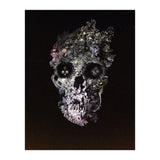 Metamorphosis  (Print Only) thumbnail
