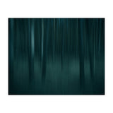 transience  (Print Only) thumbnail