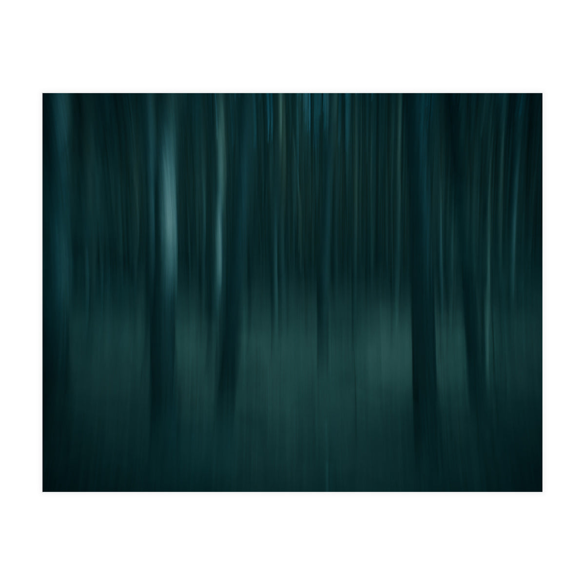 transience  (Print Only)