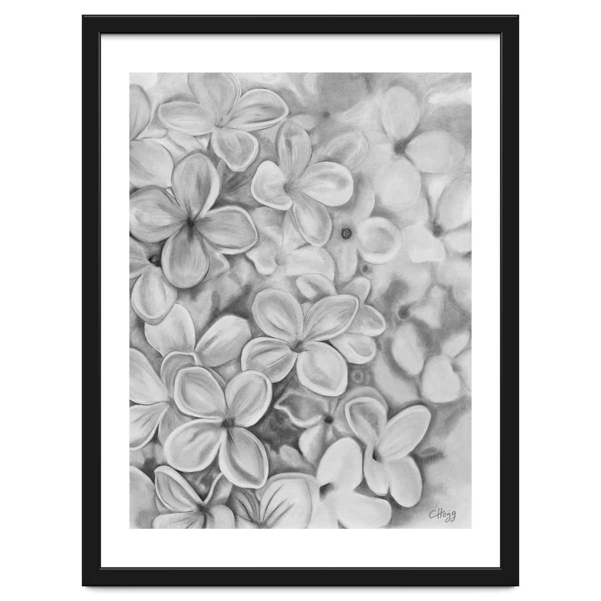 The Essence Of Spring in Monochrome