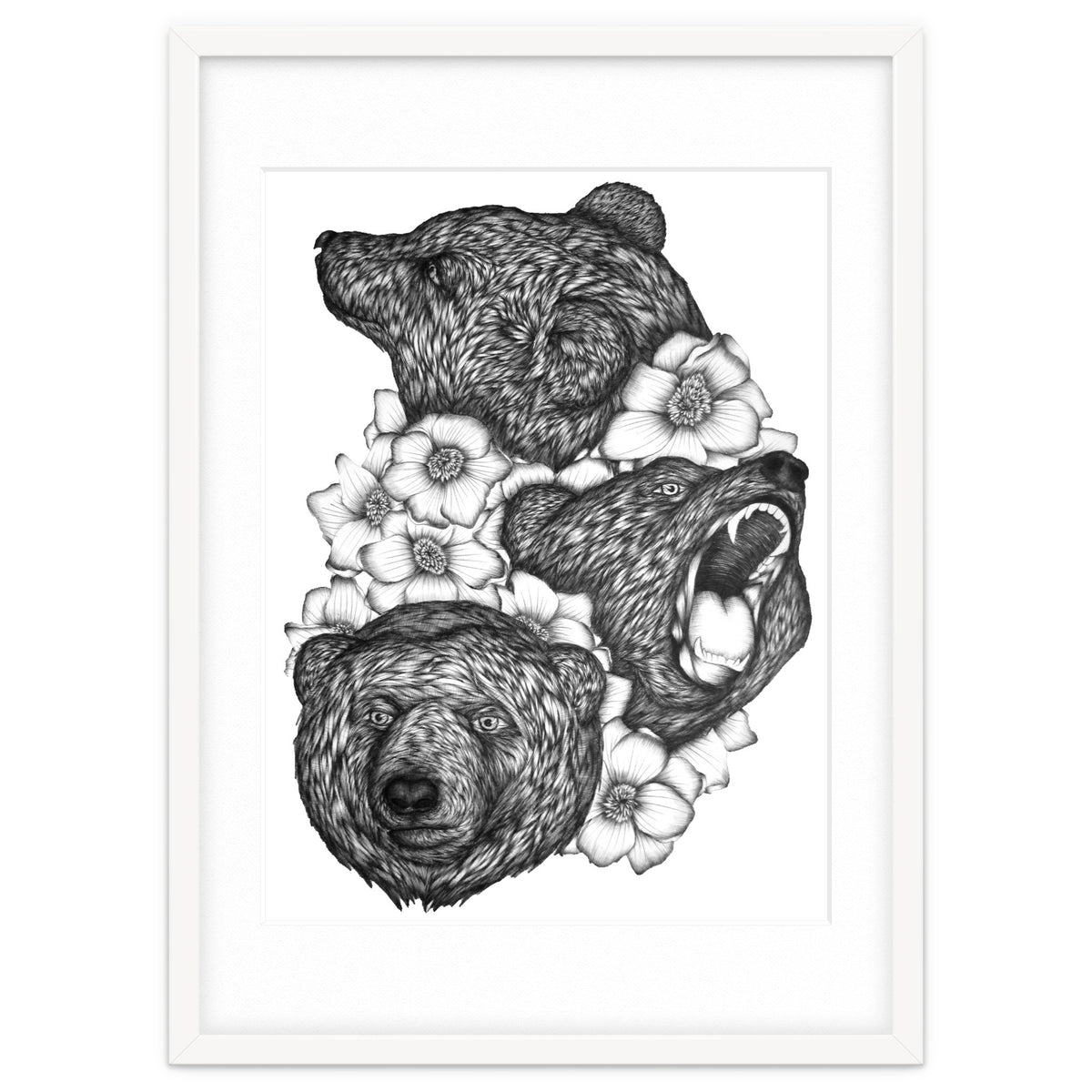 Bears In Bears