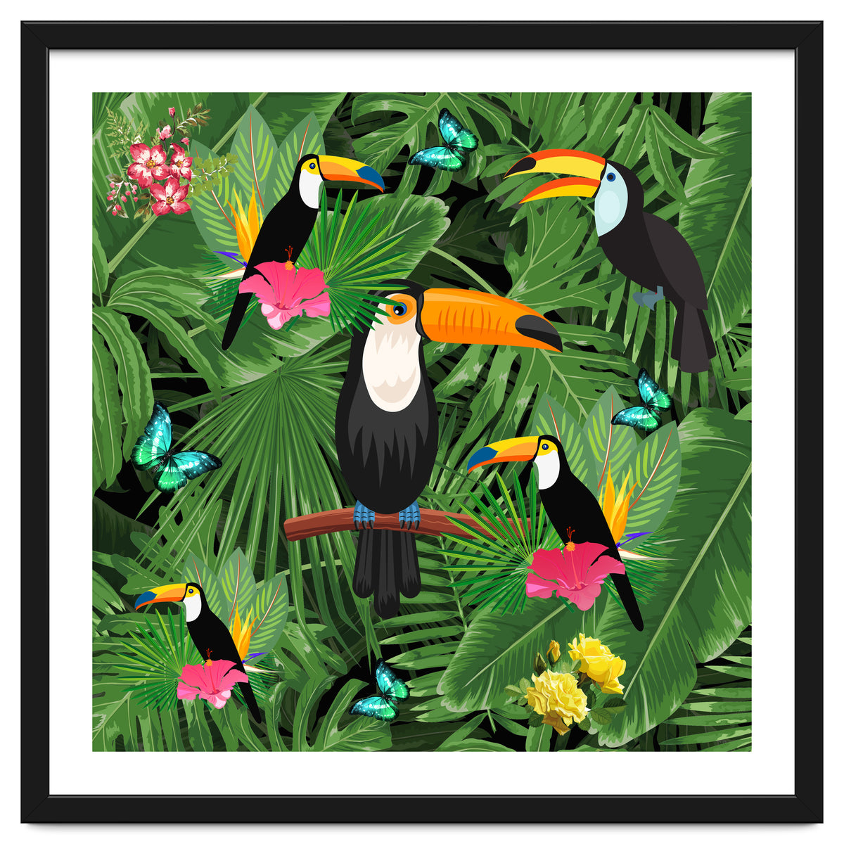 Toucan