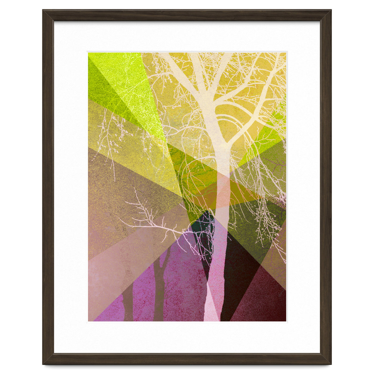 P22 A Trees And Triangles