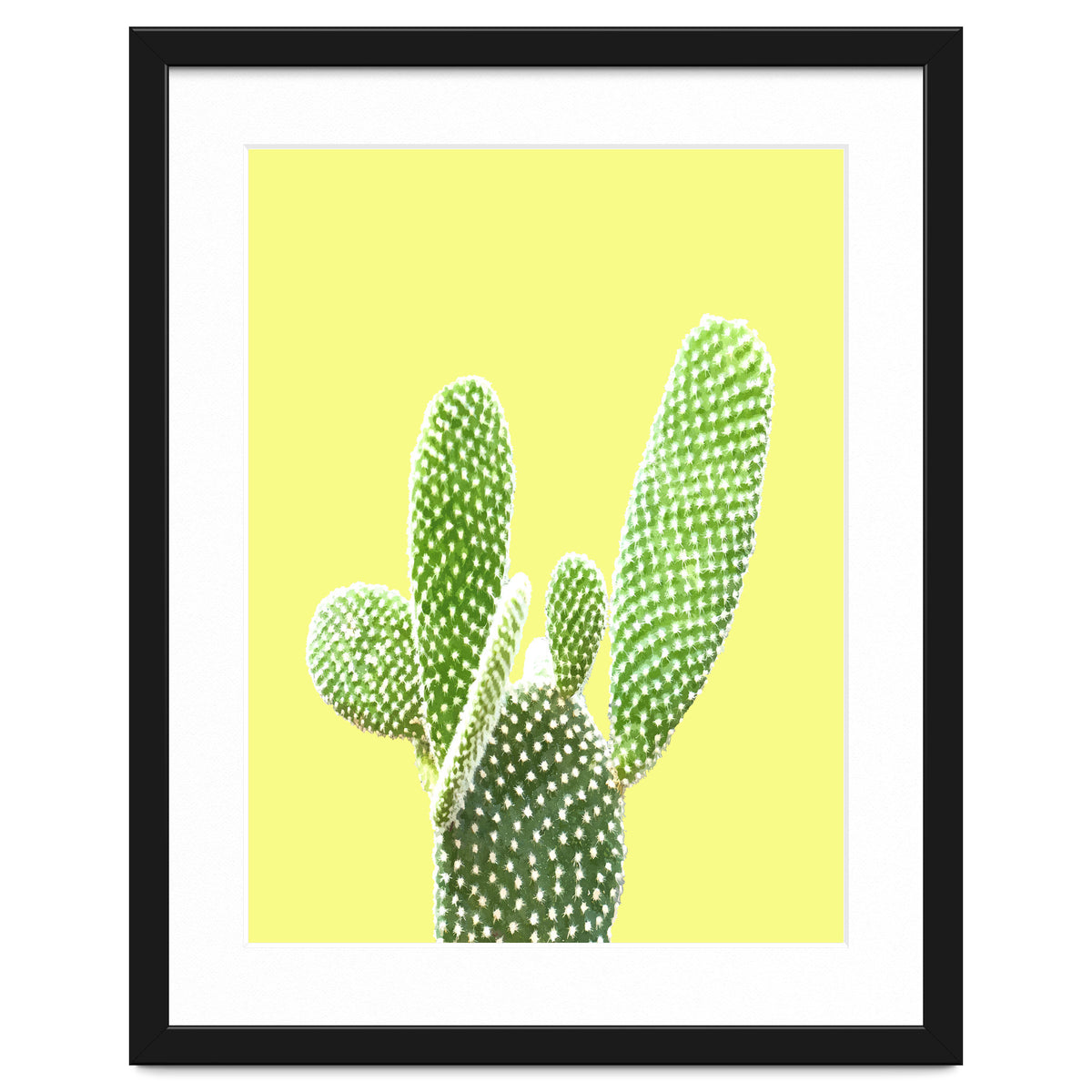 Cactus Yellow Background