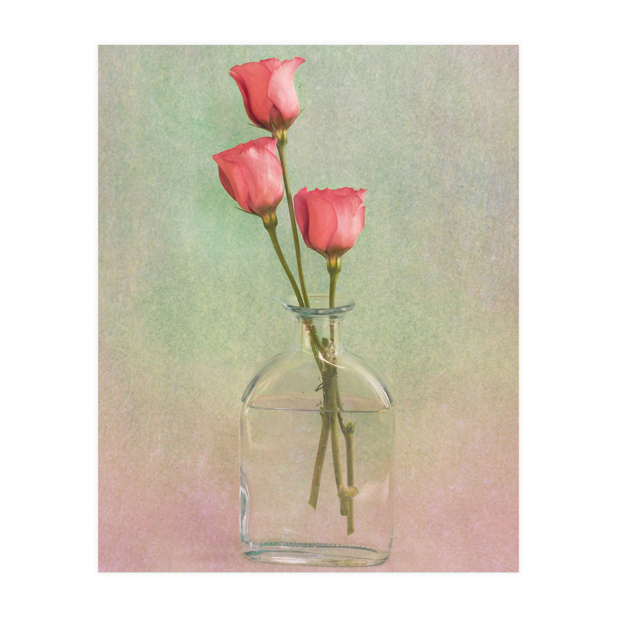 Three In A Flask (Print Only)