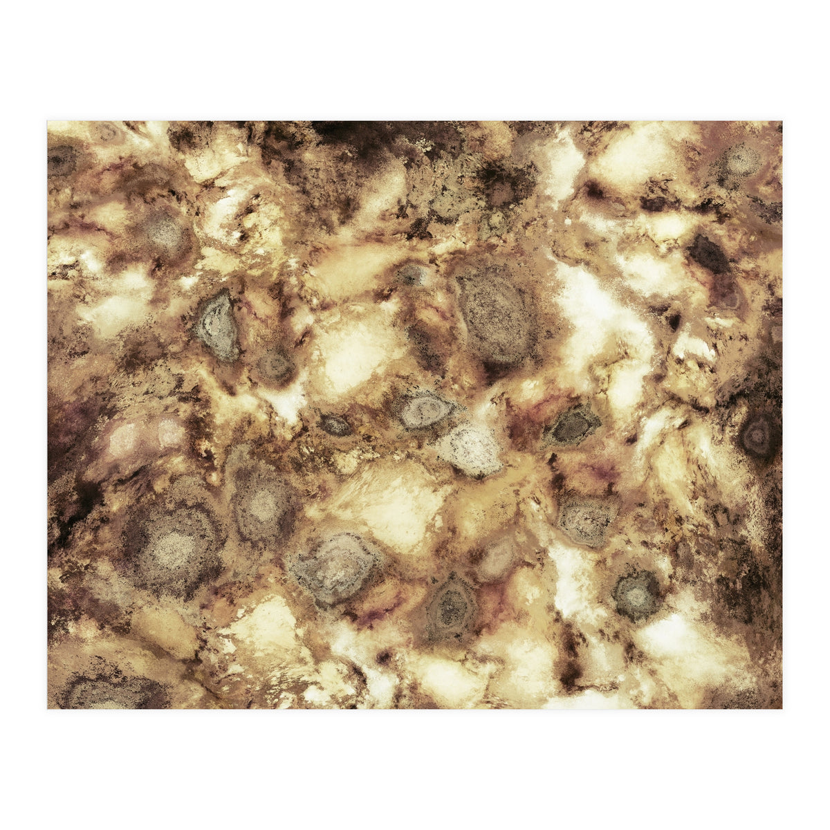 The Hard Crash (Print Only)