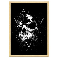 Skull X (Bw)