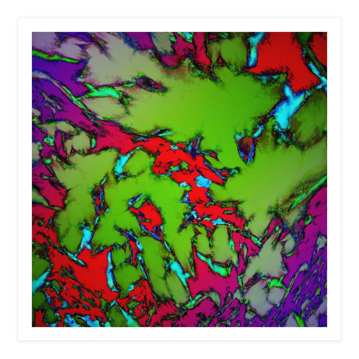 Enclosed Gardens (Print Only)