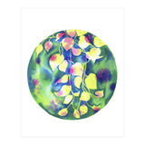 Vine Shadows (Print Only) thumbnail