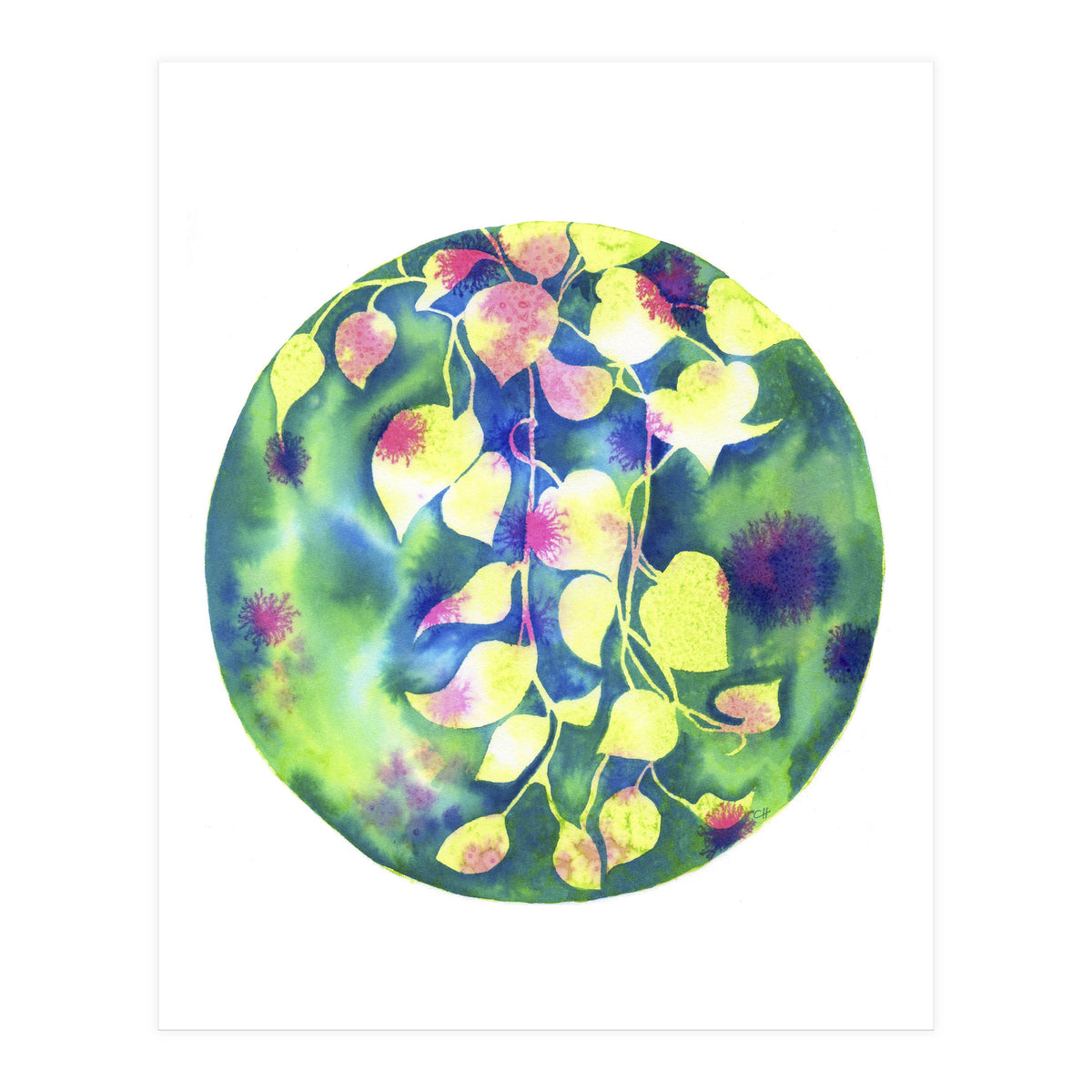 Vine Shadows (Print Only)