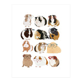Guinea Pigs in Glasses (Print Only) thumbnail