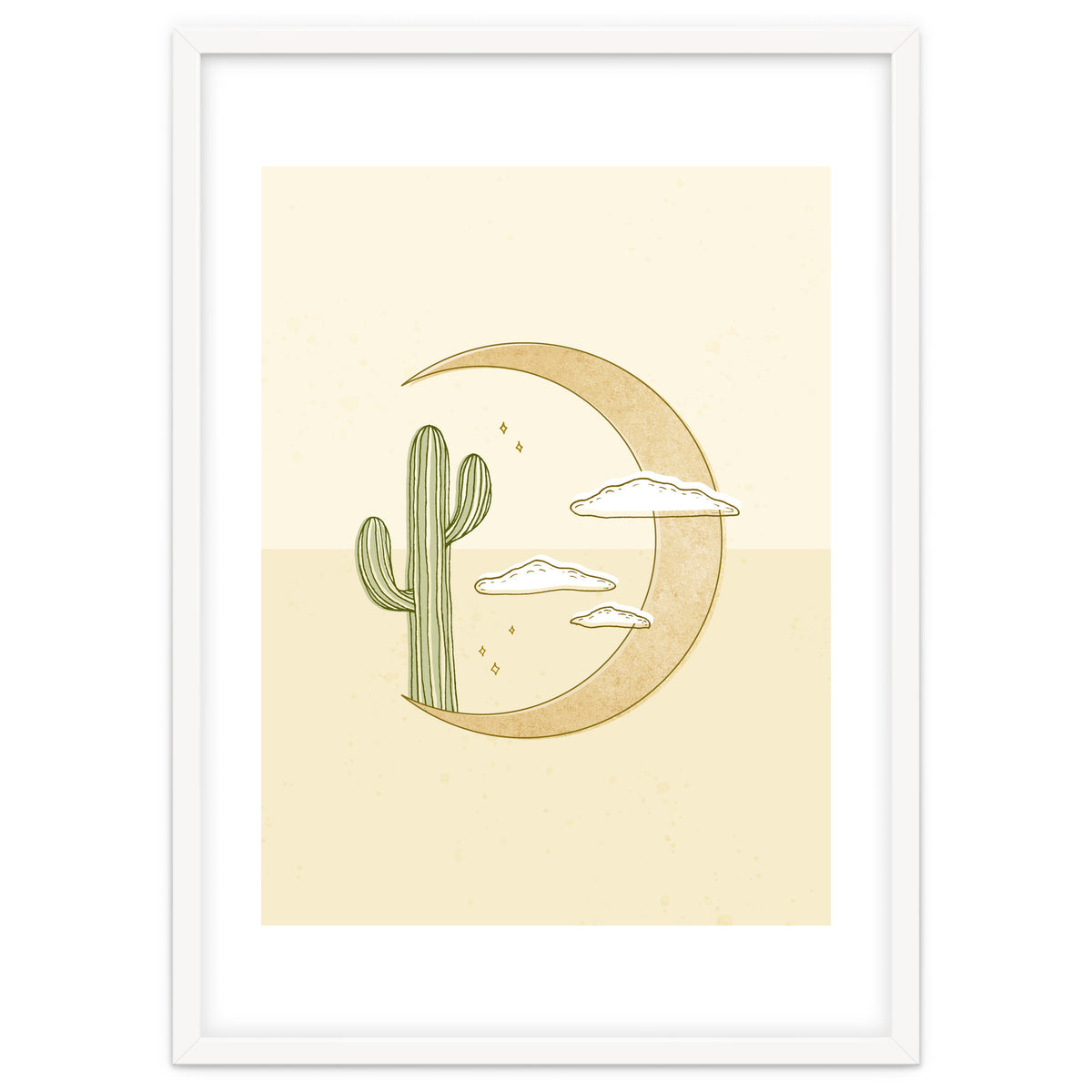 Moon Cactus