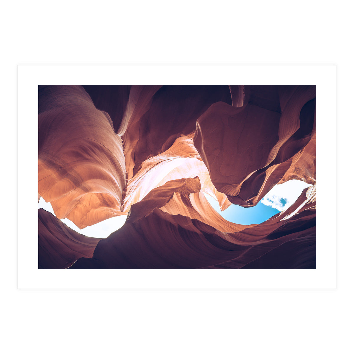 Twisted (Print Only)