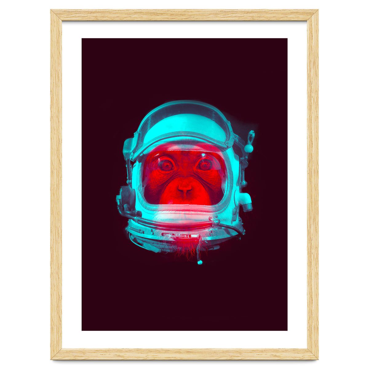 Astronaut
