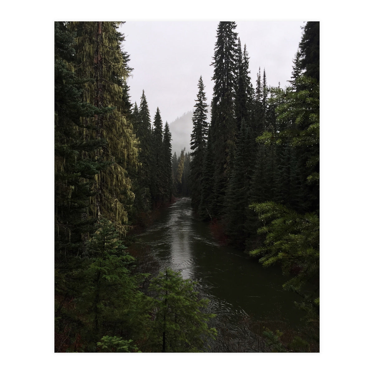 Evergreen State (Print Only)