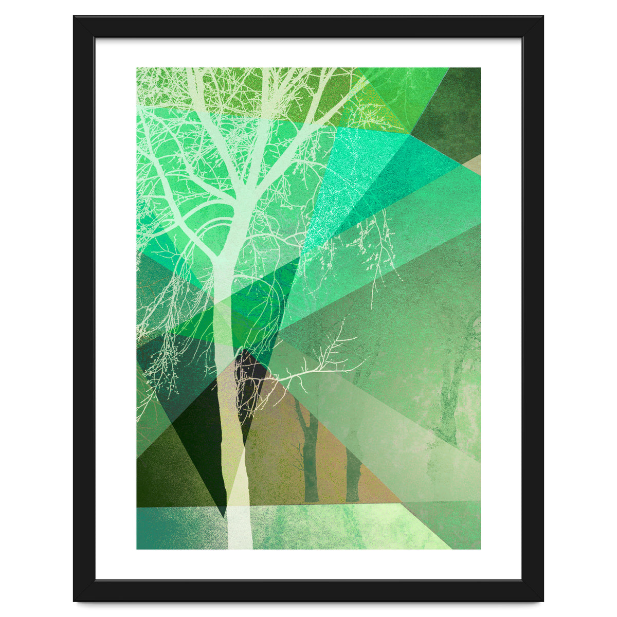 P22 B Trees And Triangles