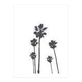 Palms & Sunset-Minimal B&W 2 (Print Only) thumbnail
