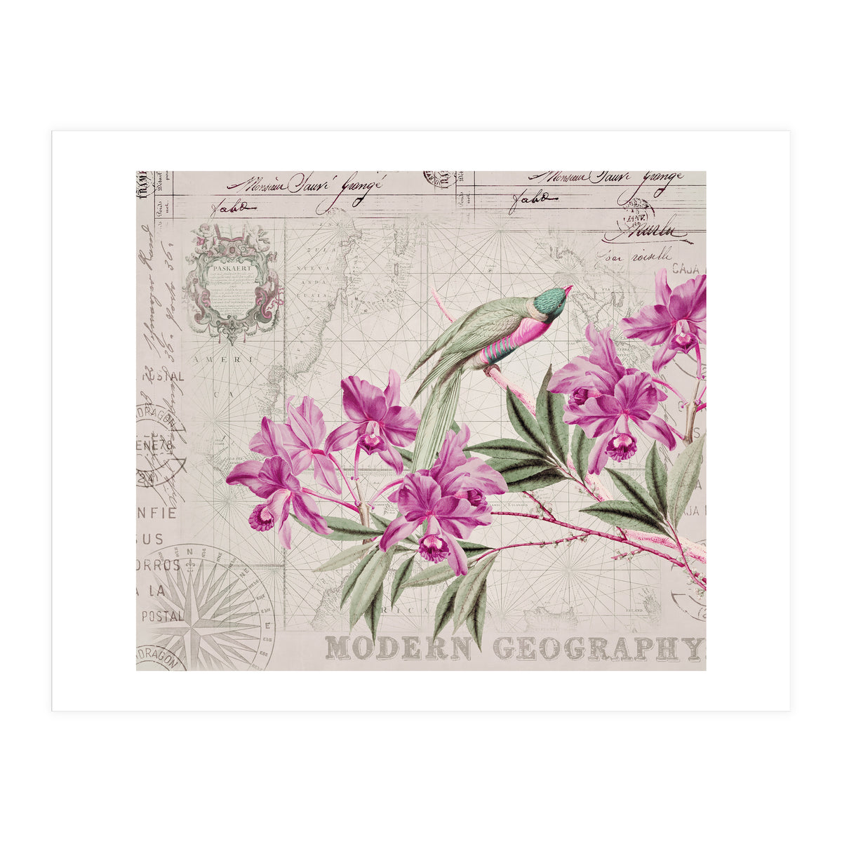 The Birds Voyage Of Discovery (Print Only)