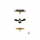 Falconidae n.2 (Print Only) thumbnail