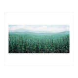 Oregon Pines (Print Only) thumbnail