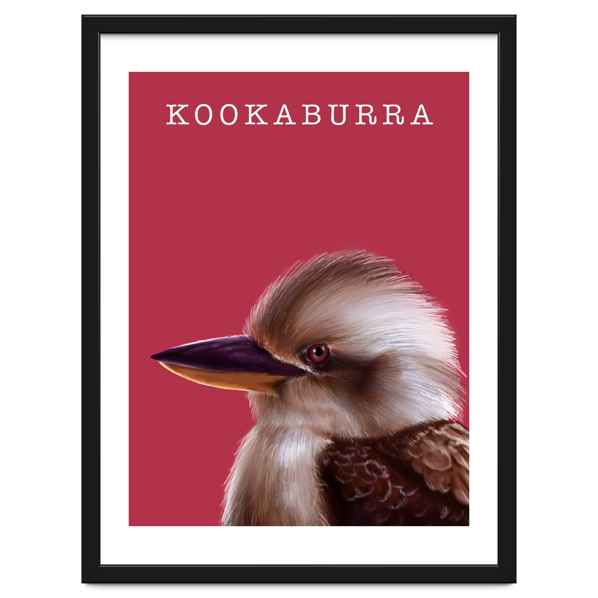 Kookaburra