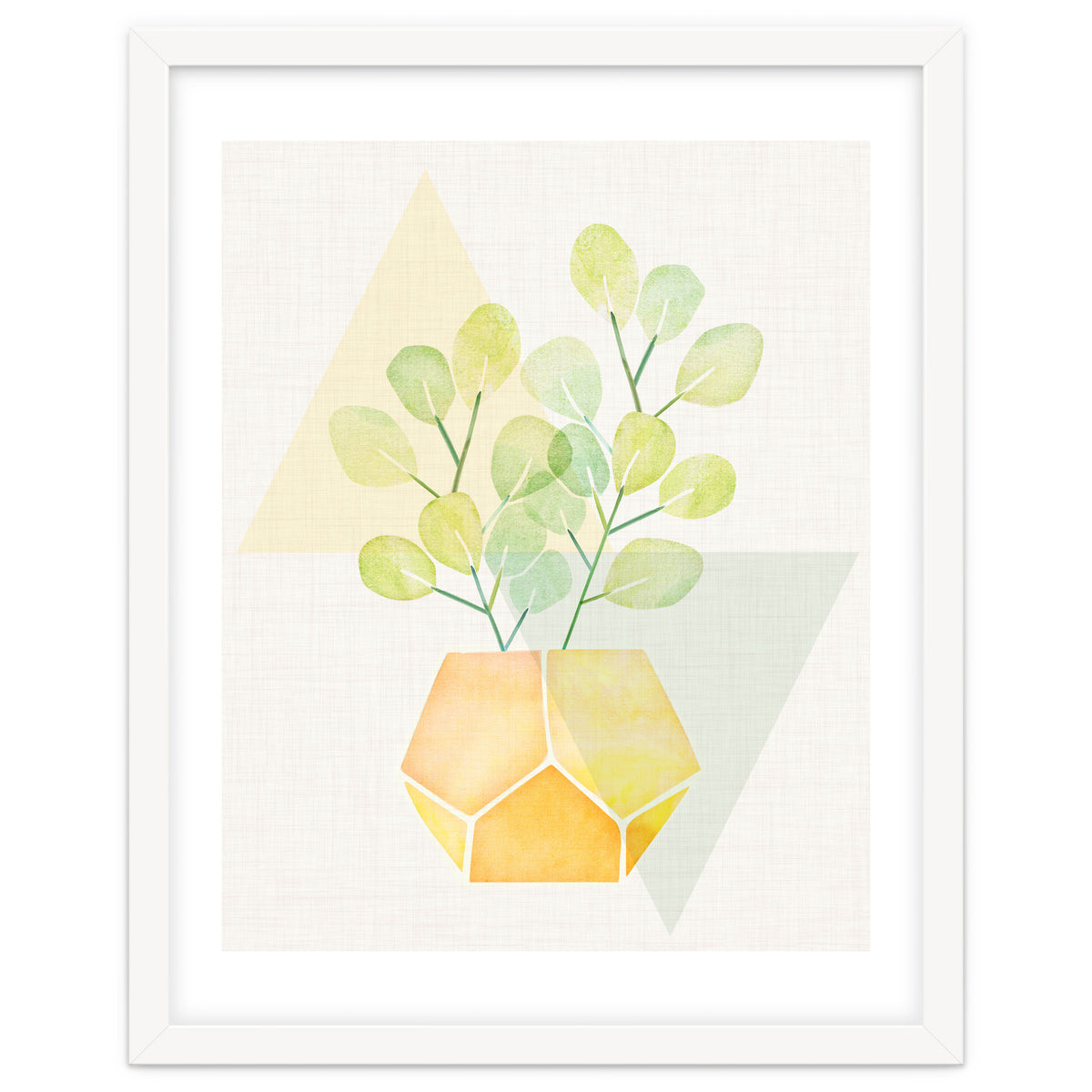 Geometry and House Plant