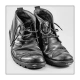 74406 B85 F791 4 Bf6 A417 E8 B0 C294 Aea2 (Print Only) thumbnail