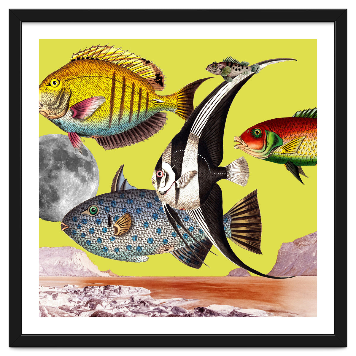 Plenty Of Fish In The Sea Yellow