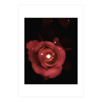 Lighting Rose (Print Only)