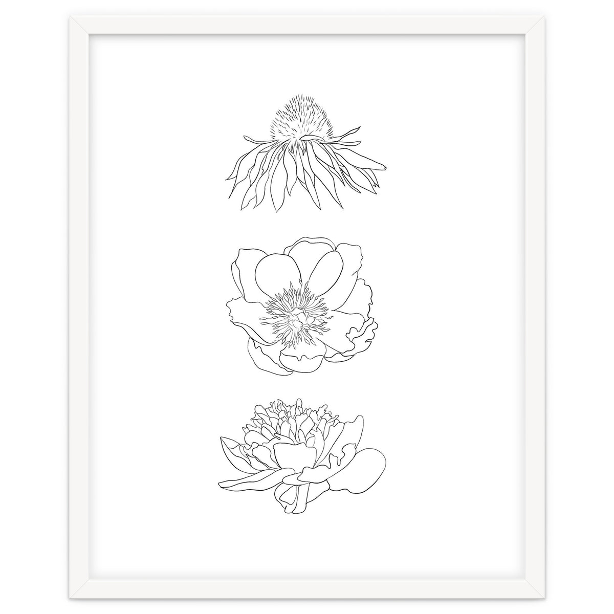Hand Drawn Flowers