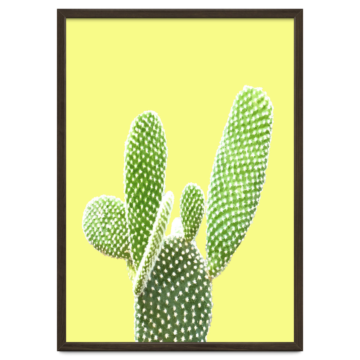 Cactus Yellow Background