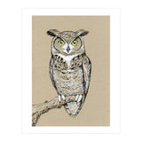 Great horned owl (Print Only) thumbnail