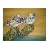 Mandarin Ducks (Print Only) thumbnail