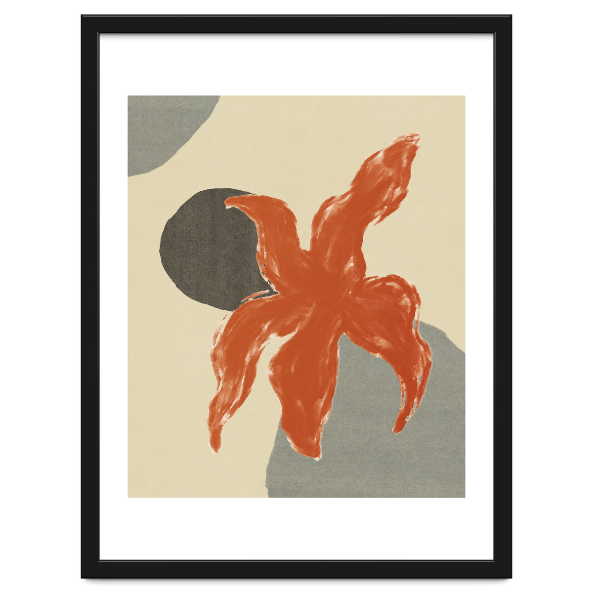 Wobbly Sea Star On Rocks \\ Abstract Composition