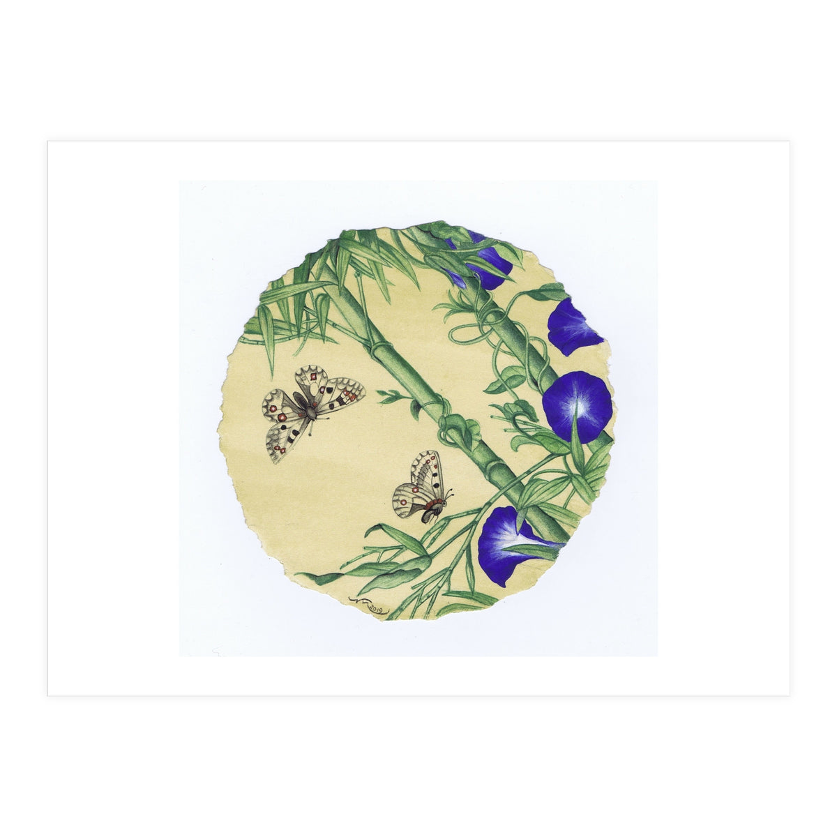 Circle 13 (Print Only)