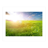 Nature (Print Only) thumbnail