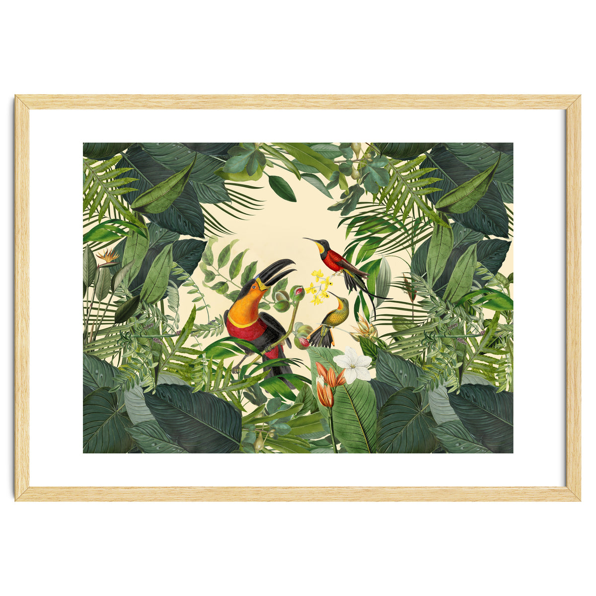 Green Jungle Toucans 2