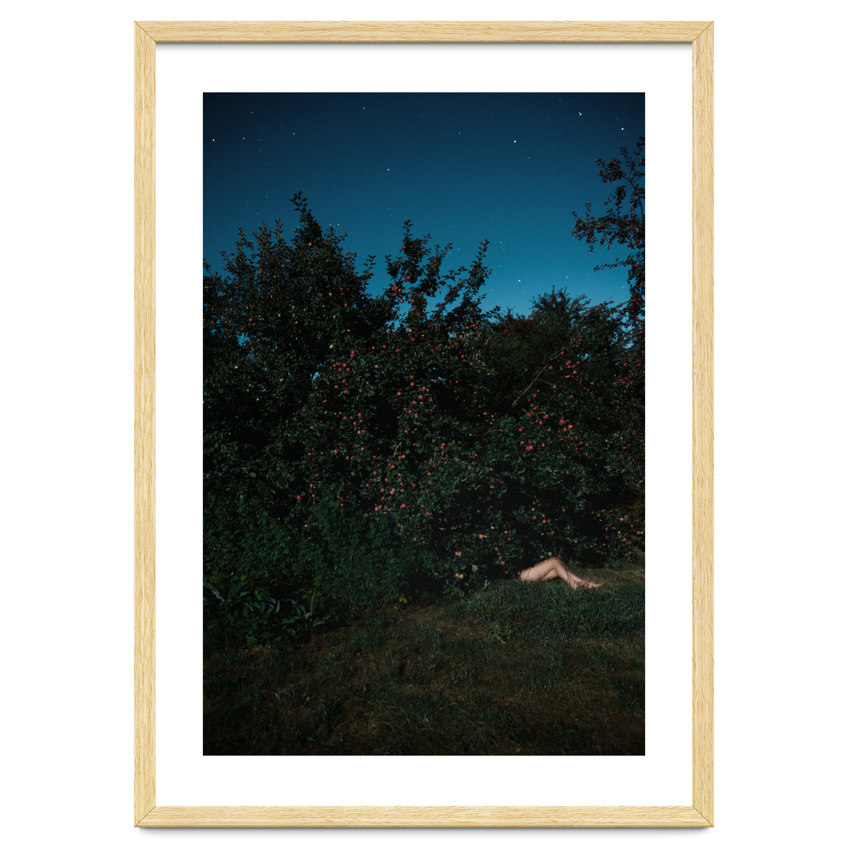 The Cider House Legs