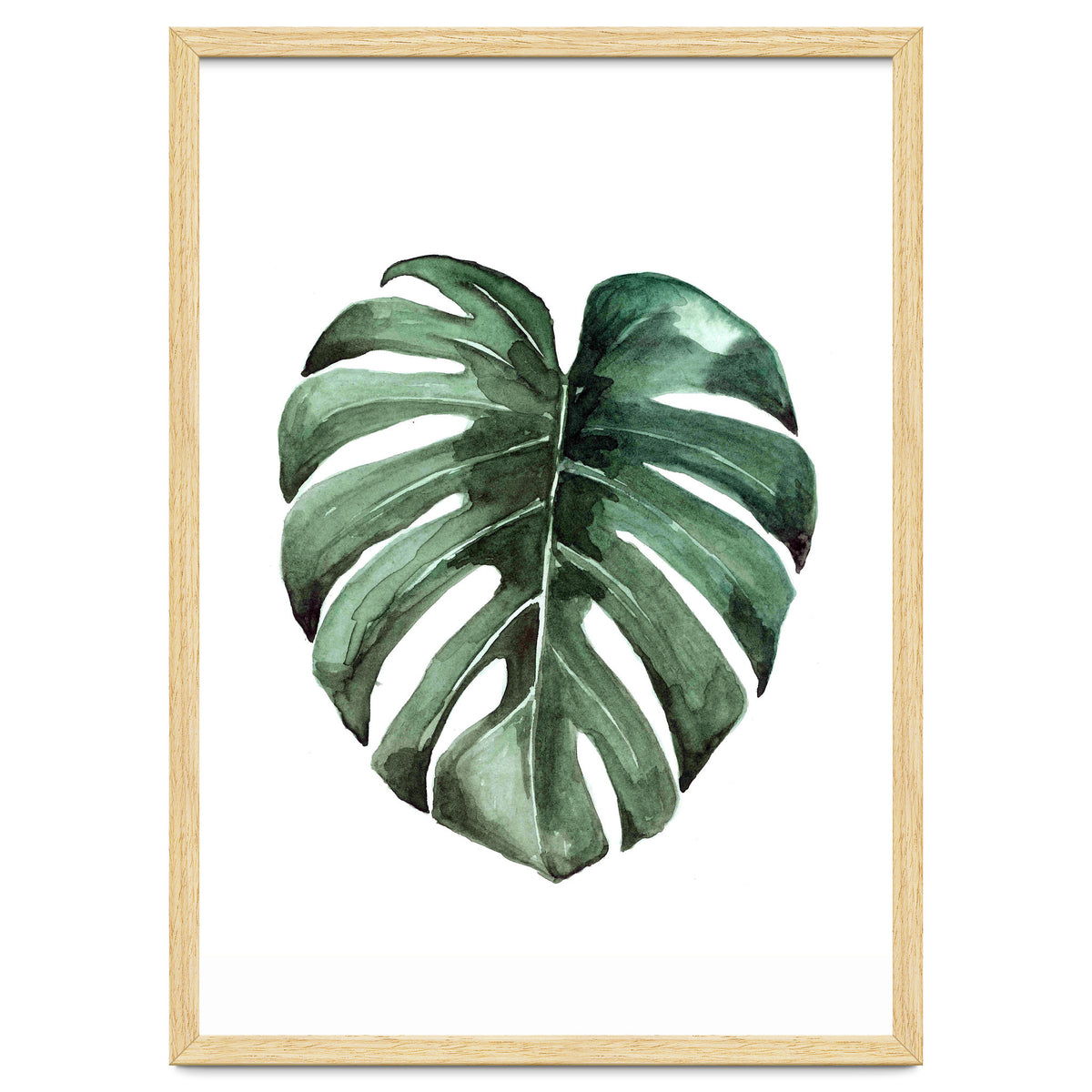 Botanical Illustration Monstera Deliciosa