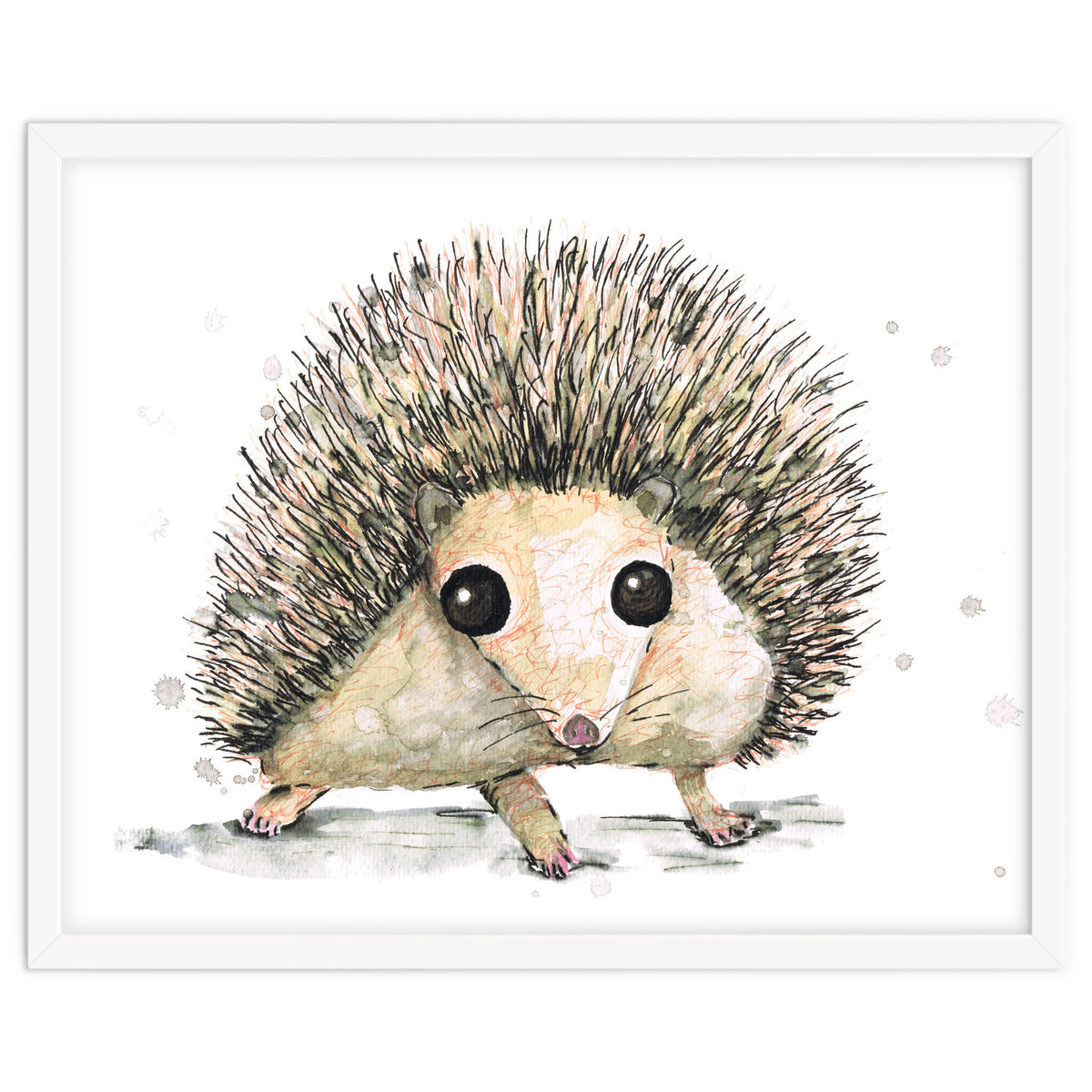 Hedgehog