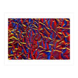 Aluminium Foil (Print Only) thumbnail