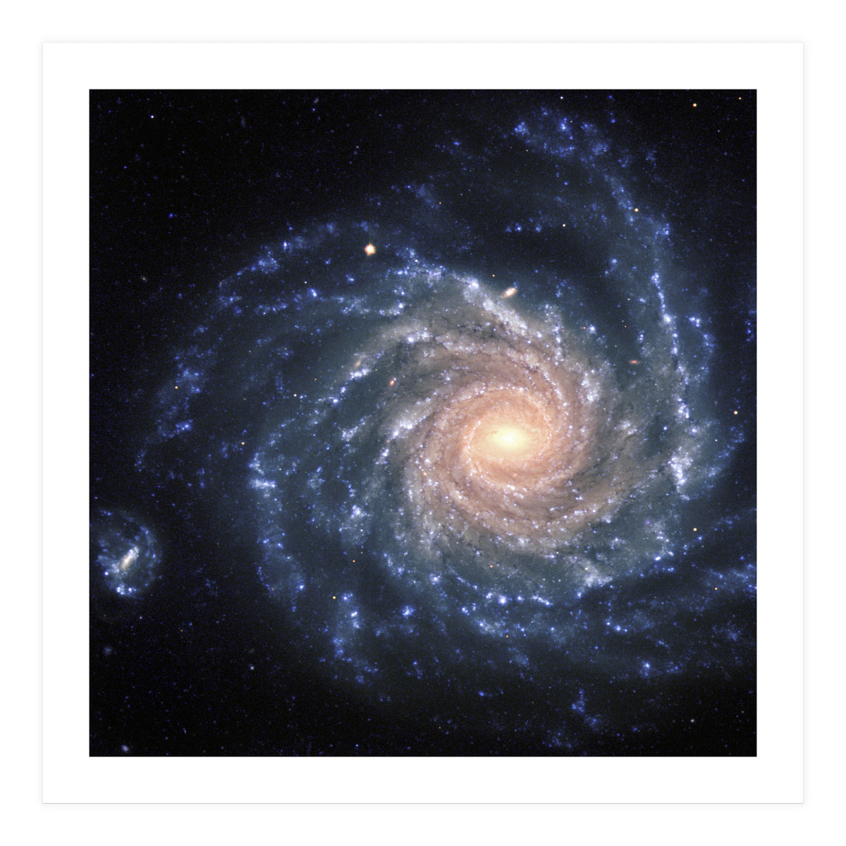 Spiral Galaxy NGC 1232 (Print Only)