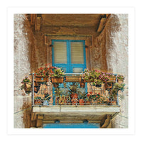 Flowered window in Venice (Print Only)