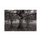 Golgotha (Print Only) thumbnail