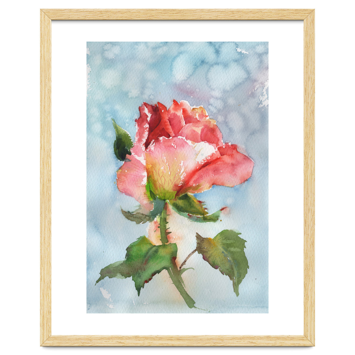 Beautiful Rose Watercolor