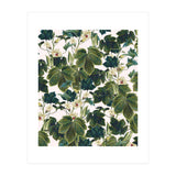 Wild Forest (Print Only) thumbnail